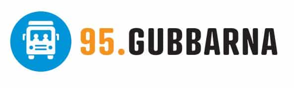 95.Gubbar nya Logo